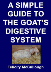 A Simple Guide To The Goat's Digestive System 