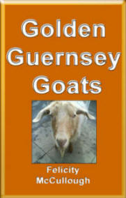 Golden Guernsey Goats