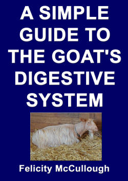 A Simple Guide To The Goat's Digestive System